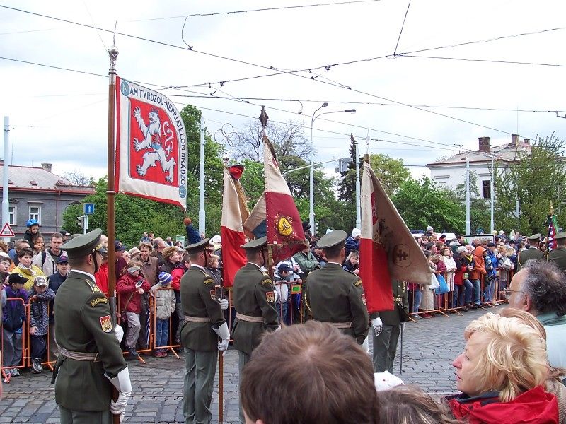 60poKolonaSeHnula(46)