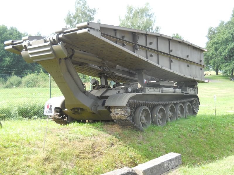 lesany2014Buldok(100)