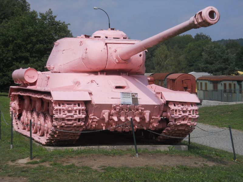 lesany2014Buldok(101)