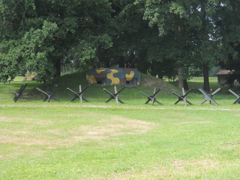 lesany2014Buldok(102)