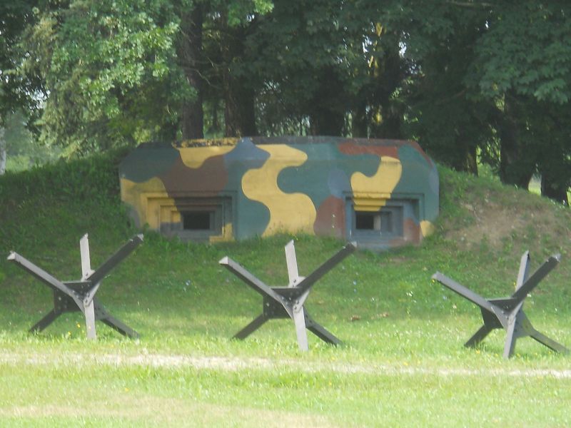 lesany2014Buldok(103)