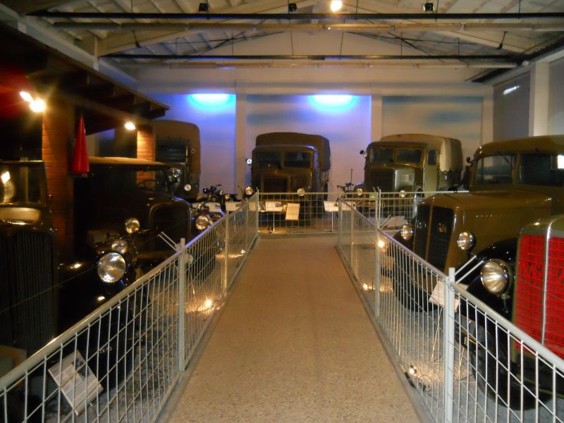 lesany2014Buldok(110)