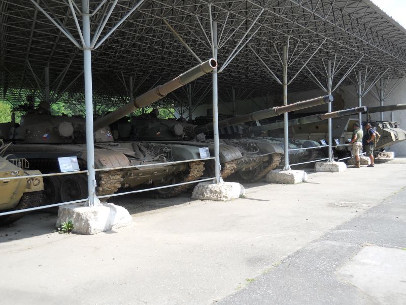 lesany2014Buldok(147)