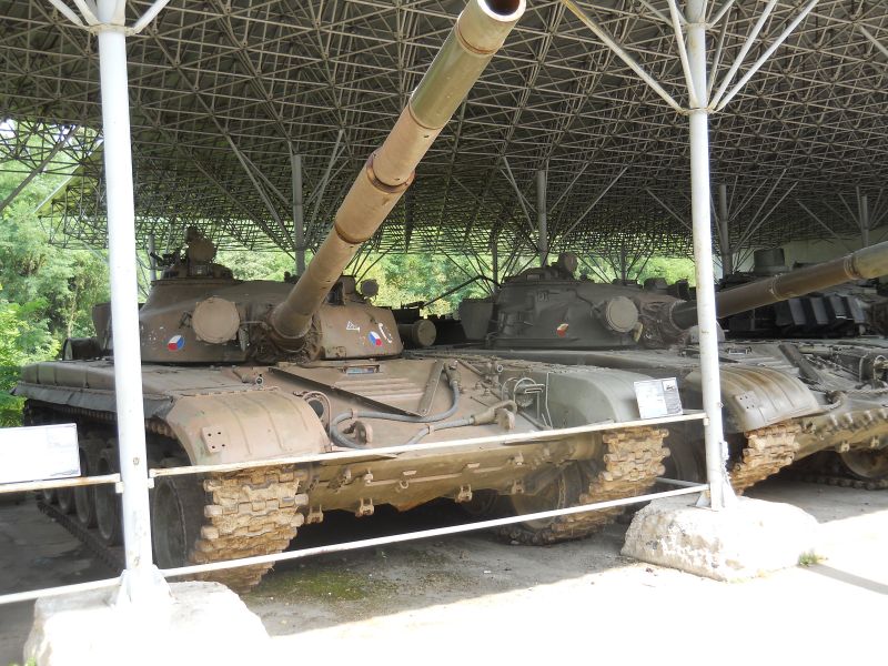 lesany2014Buldok(148)