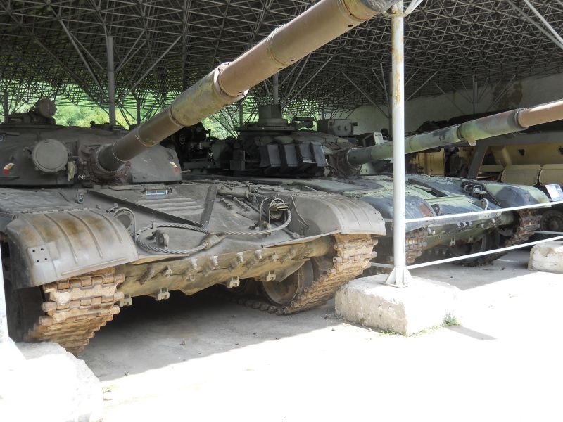 lesany2014Buldok(149)