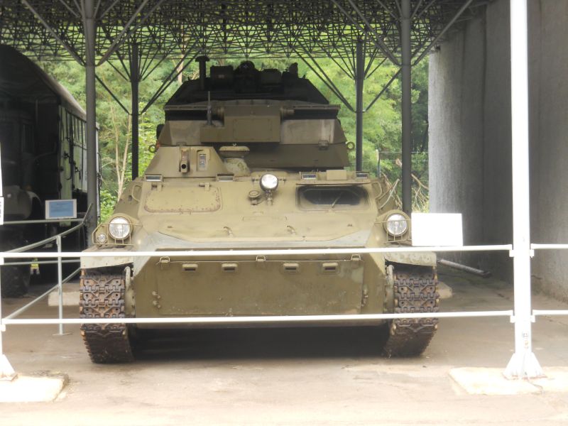 lesany2014Buldok(151)