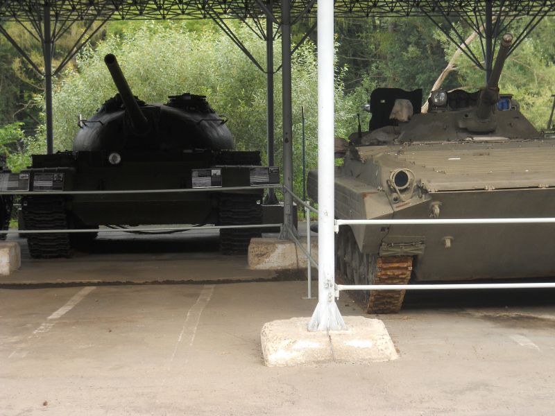 lesany2014Buldok(153)