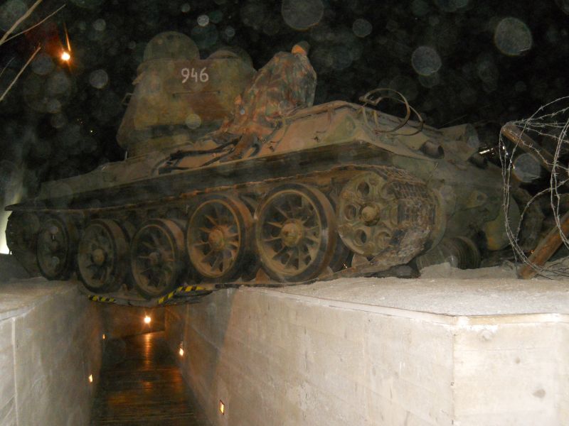 lesany2014Buldok(157)