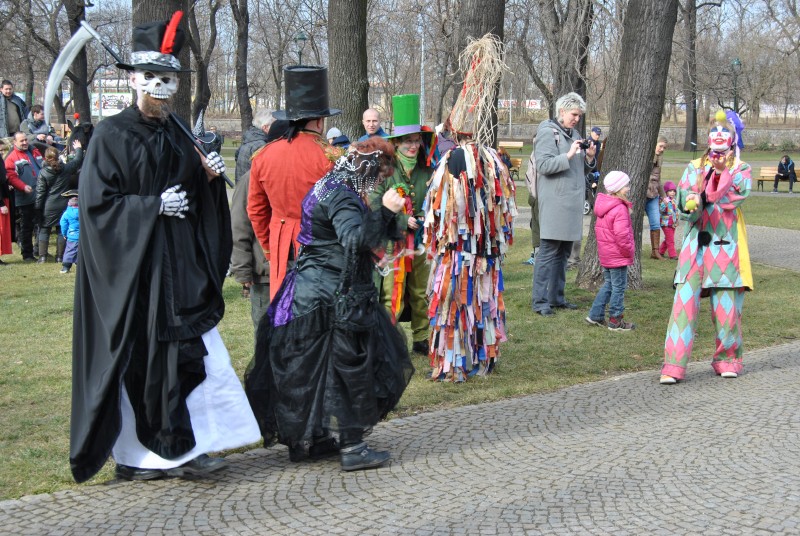 MasopustKarlin2014(12)