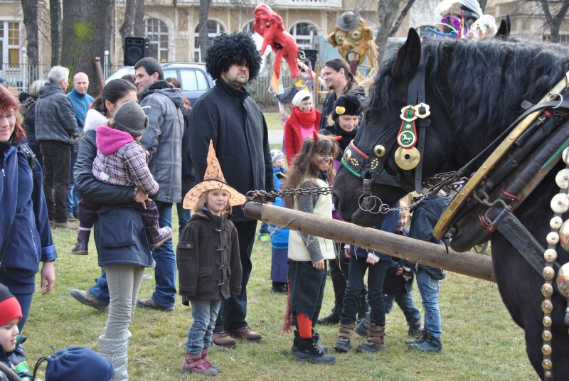 MasopustKarlin2014(14)