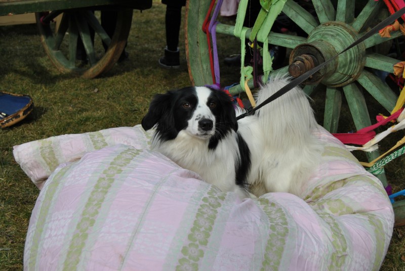 MasopustKarlin2014(25)