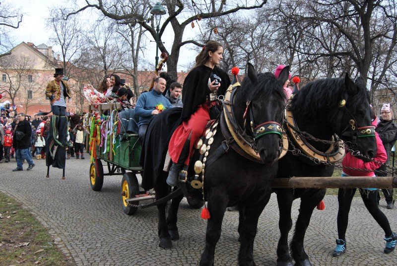 MasopustKarlin2014(29)