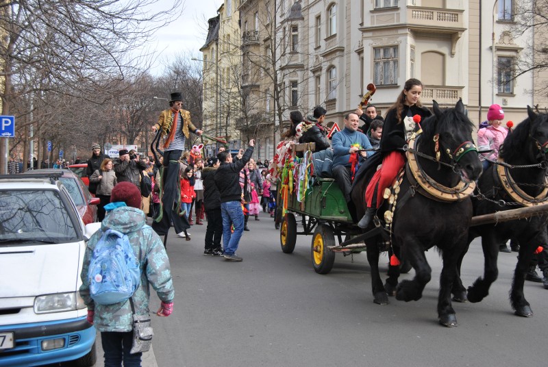 MasopustKarlin2014(31)