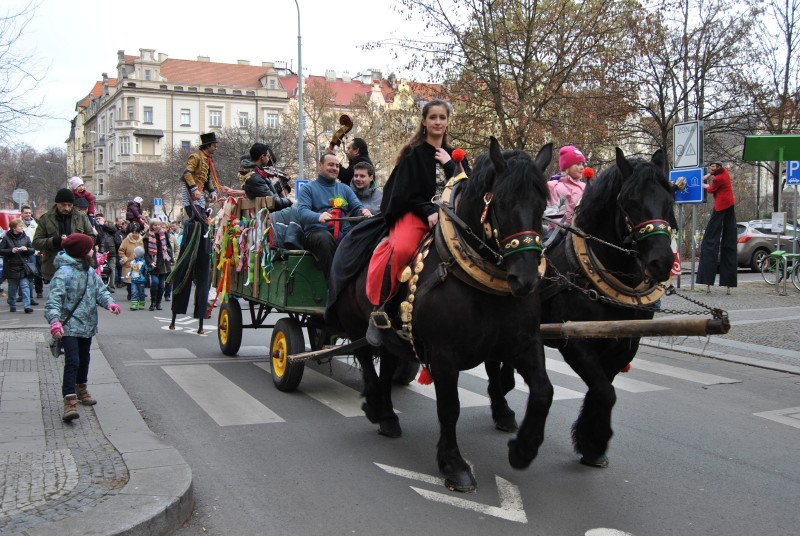 MasopustKarlin2014(35)