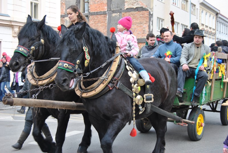 MasopustKarlin2014(46)