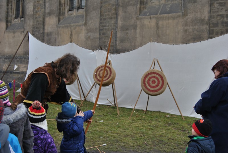 MasopustKarlin2014(66)