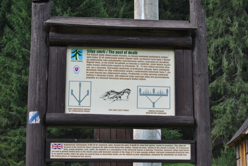 CernyBalog2012Cesta(30)