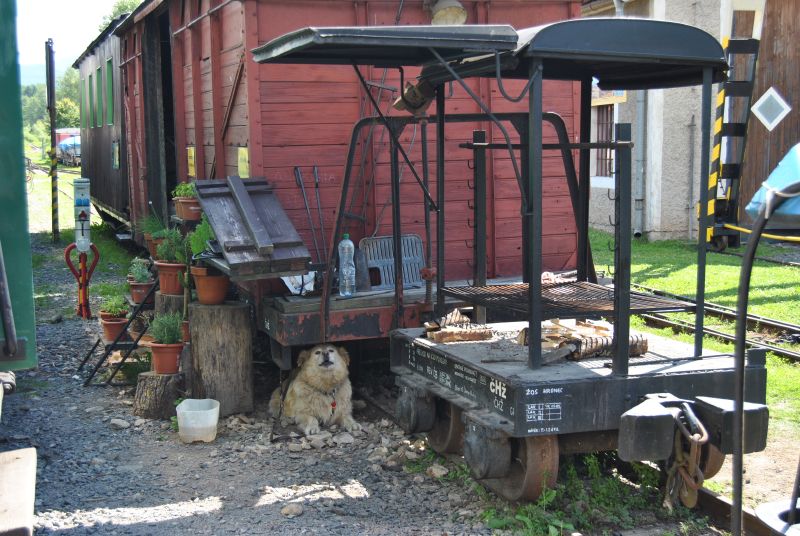 CernyBalog2012Depo(22)