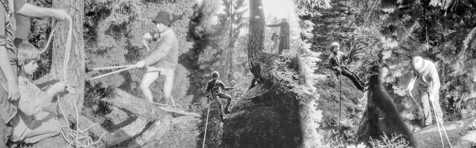 Obrázek přes celou šířku