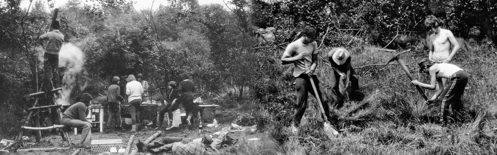 Obrázek přes celou šířku