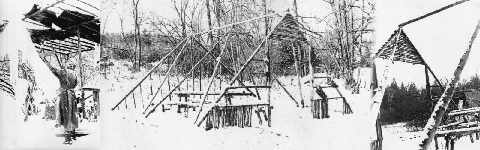 Obrázek přes celou šířku