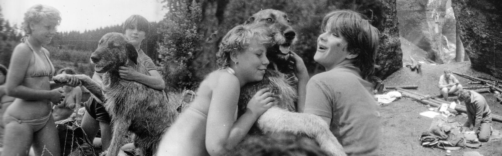 Obrázek přes celou šířku