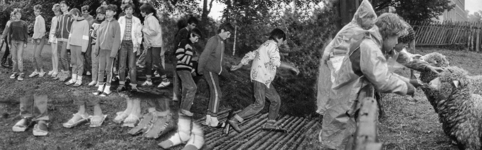 Obrázek přes celou šířku