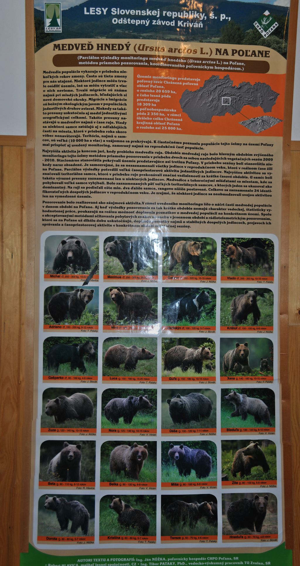 polana14Medvedi(44b)