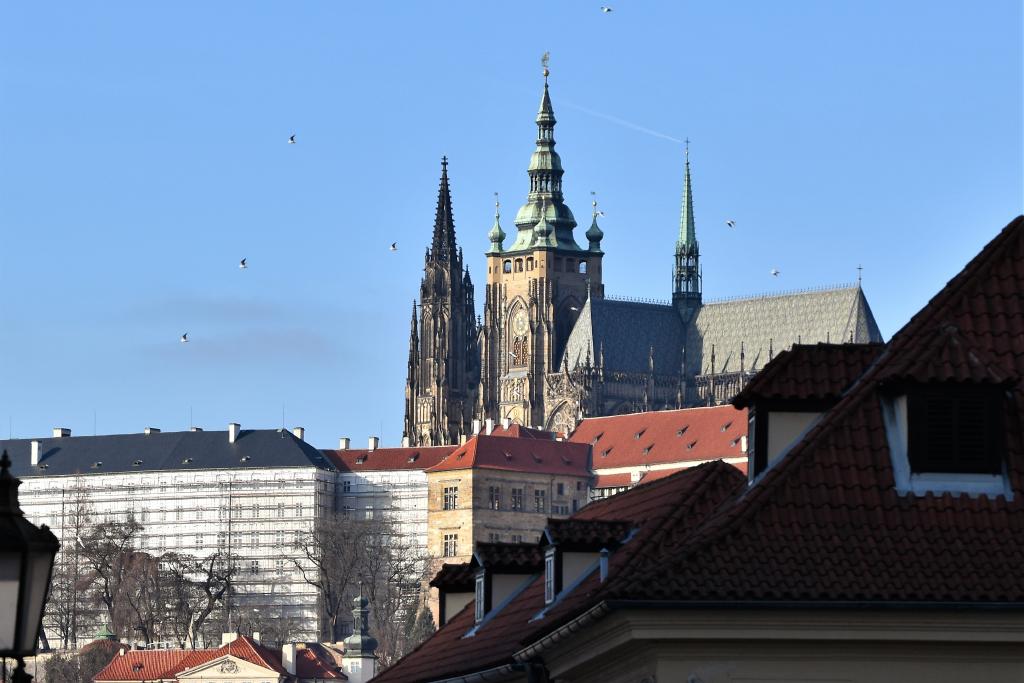 praha2019(139)