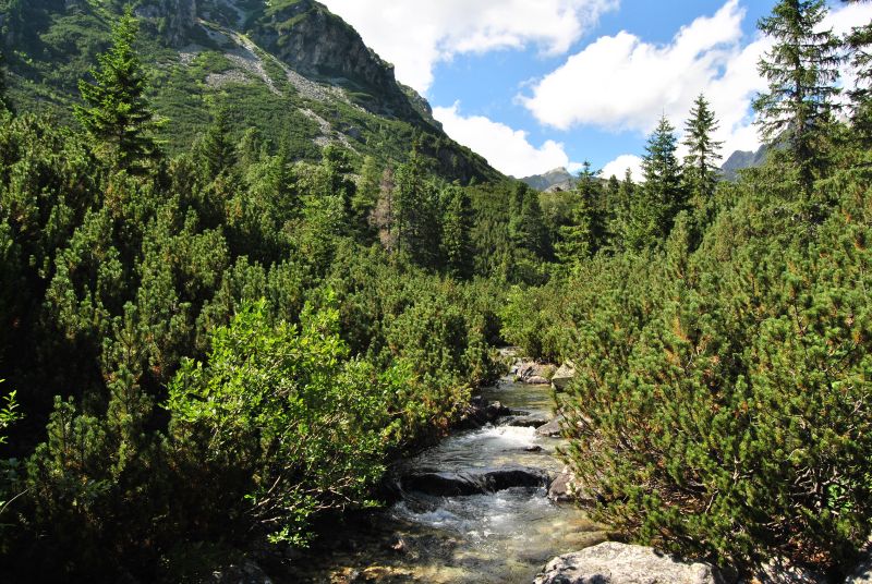 tatryPopradskePleso(23)