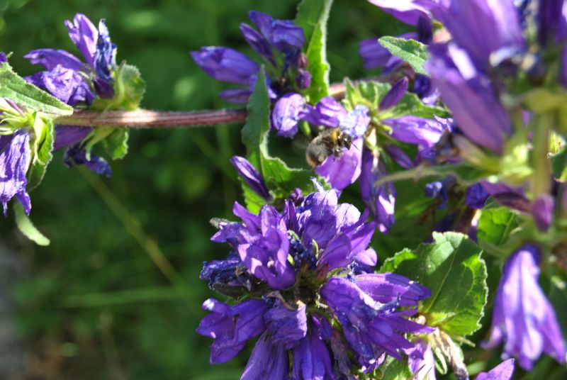 tatryPopradskePleso(25)