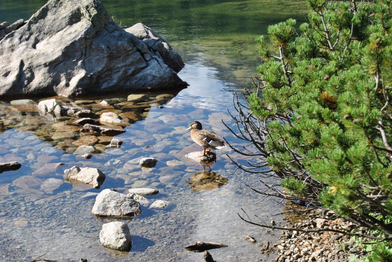 tatryPopradskePleso(33)