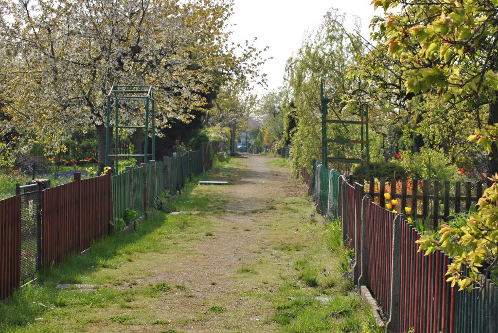 zahrada2(130)